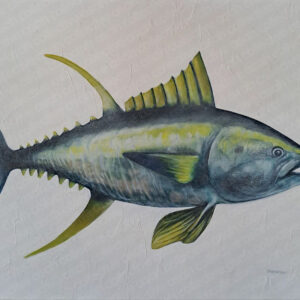 Yellowfin Tuna