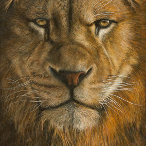 Lion of Judah