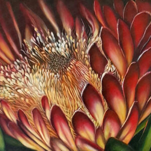 Protea I