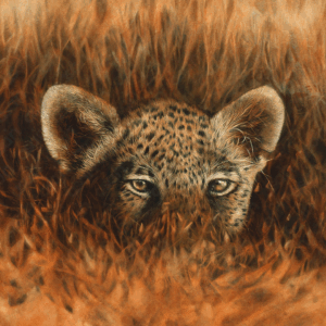 Leopard in waiting